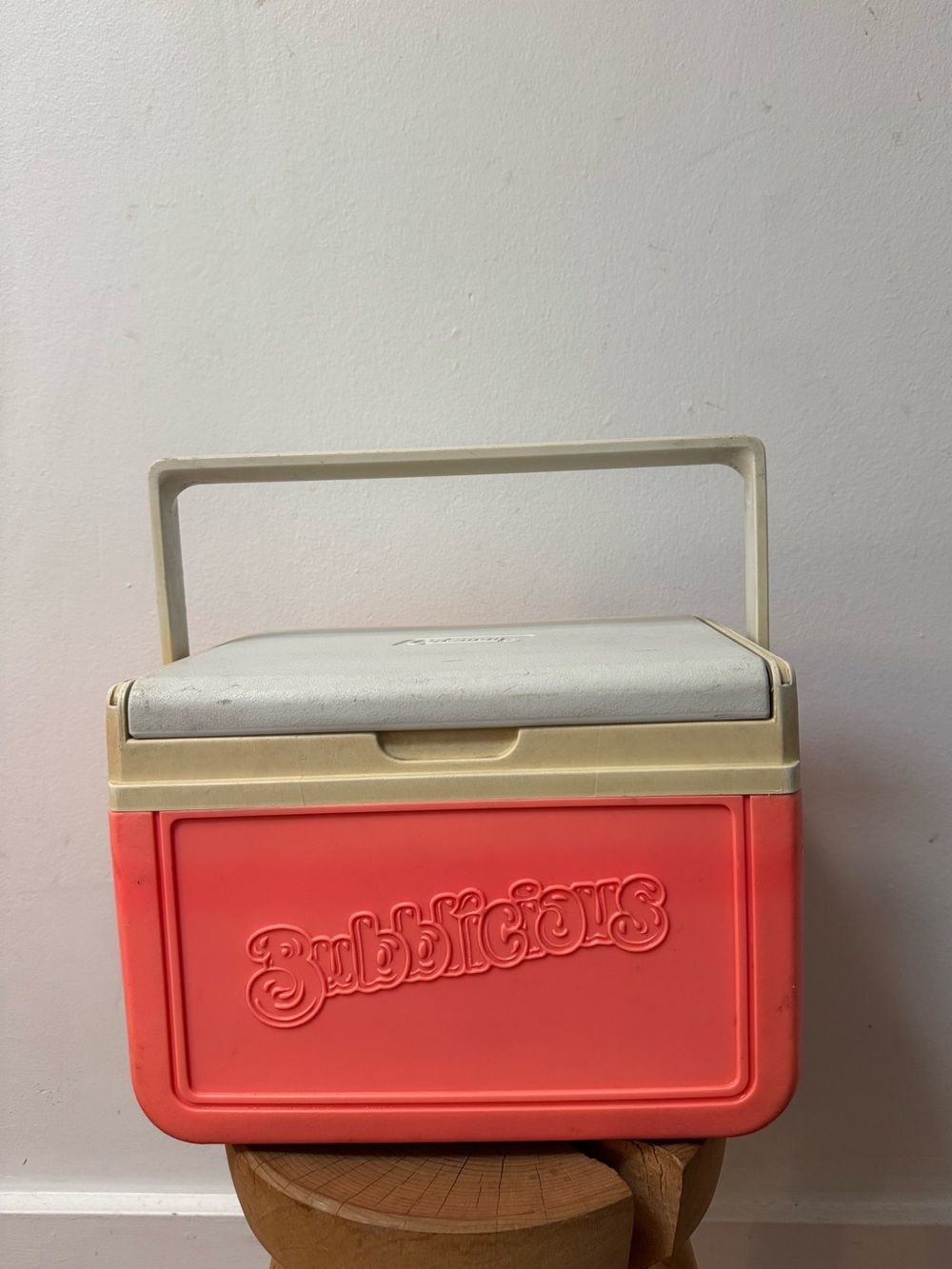 BUBBLICIOUS vintage coleman cooler